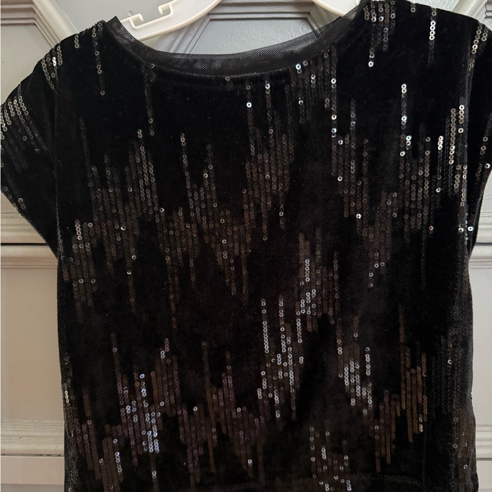 Zara Black velvet Sequin Top